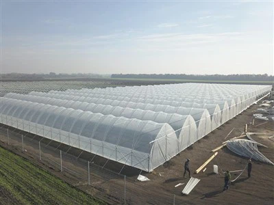 Greenhouse Uv Plastic Film