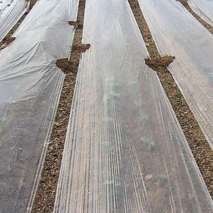 Agricultural Mulch Film