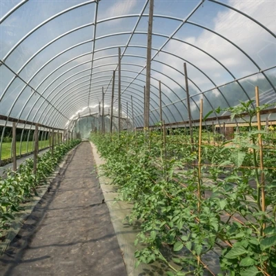 Benefits of Using Greenhouse Film