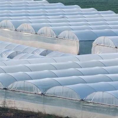 Reinforced Plastic Sheeting Greenhouse